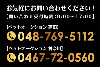 お気軽にお問い合わせください