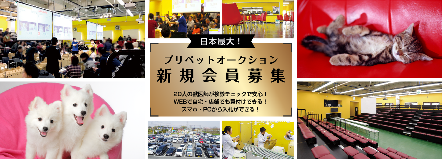 日本最大！　プリペットオークション　新規会員募集