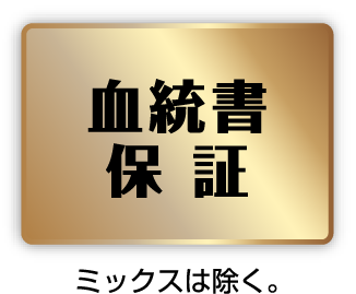 保証3　血統書保証