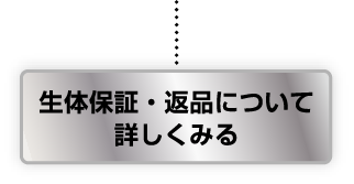 生体保証・返品について詳しくみる