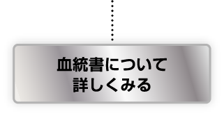 血統書について詳しくみる