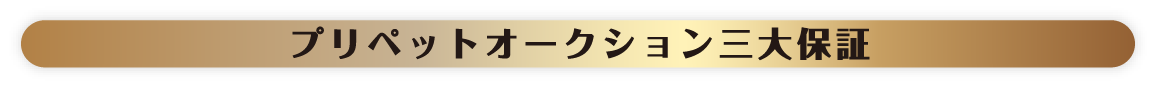 プリペットオークション 三大保証