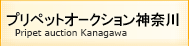 I[NV_ސ
