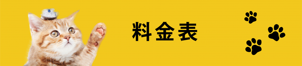 料金表