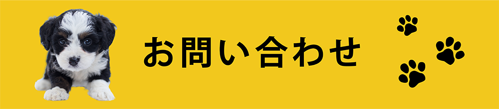 よくあるご質問